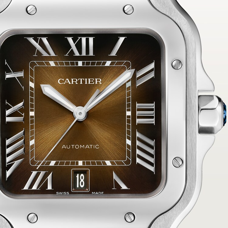 Unworn Cartier Santos de Cartier, Stainless Steel, 39.8mm, Ref# WSSA0064, Dial