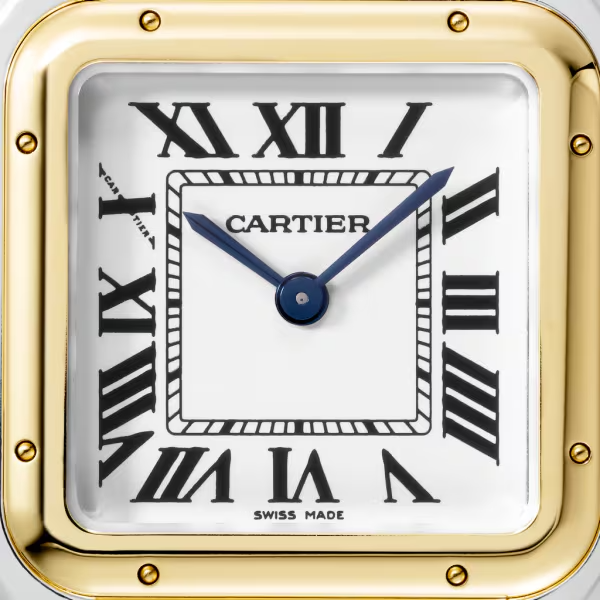 Unworn Cartier Panthère de Cartier, Stainless Steel, 18k Yellow Gold, 29mm x 37mm, Ref# W2PN0007, Dial
