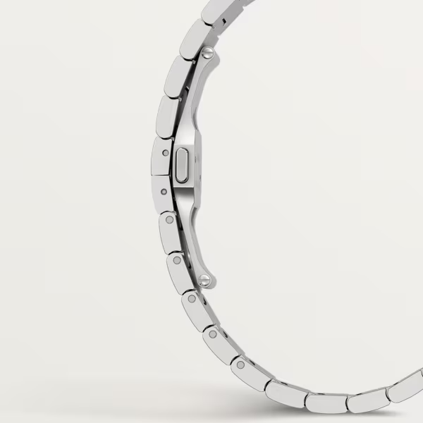 Unworn Cartier Santos de Cartier, Stainless Steel, 39.8mm, Ref# WSSA0030, Clasp