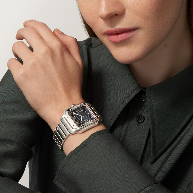 Unworn Cartier Santos de Cartier, Stainless Steel, 39.8mm, Ref# WSSA0071, Watch on hand 1