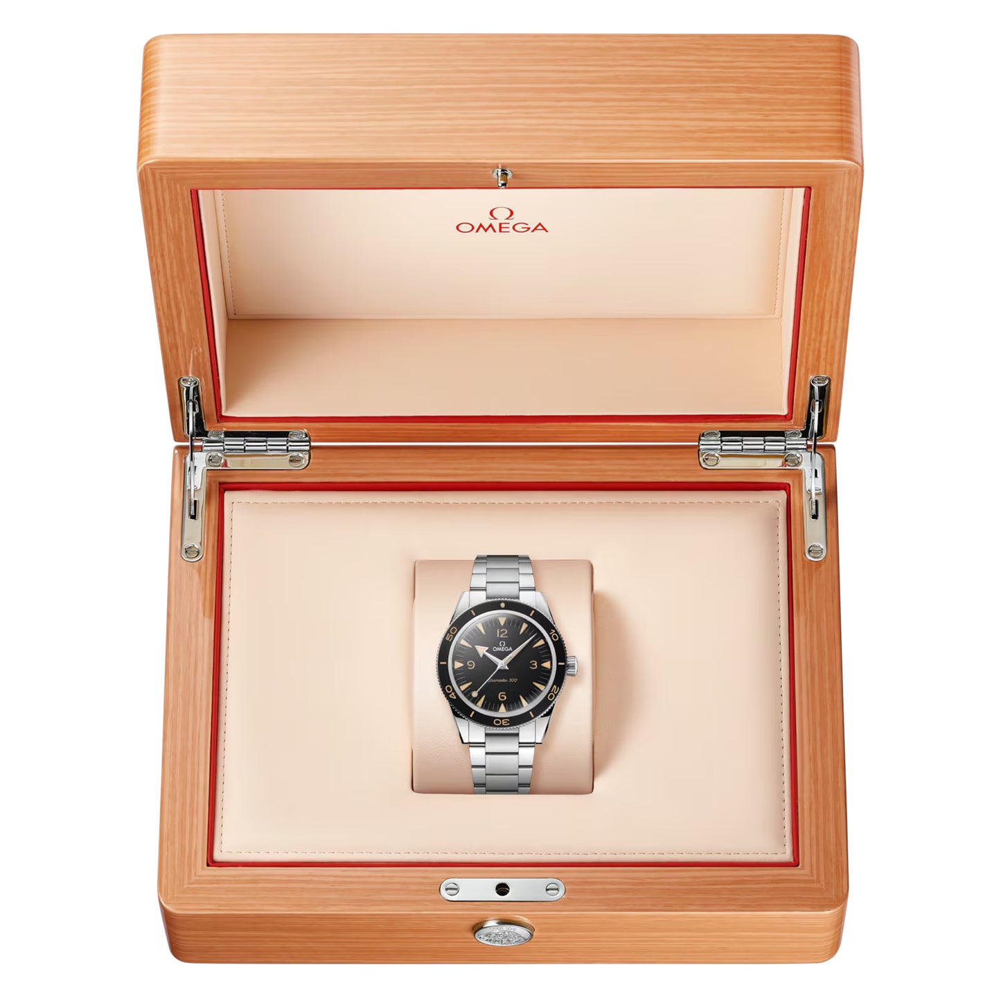 Omega Seamaster 300 234.30.41.21.01.001