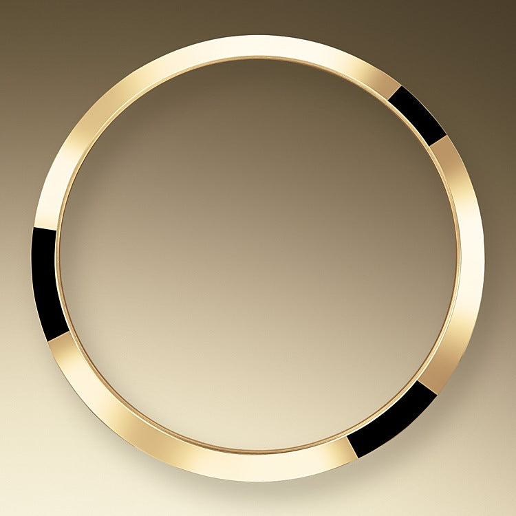 Rolex Explorer, 18k Yellow Gold and Stainless steel, 36mm, Ref# 124273-0001, Bezel