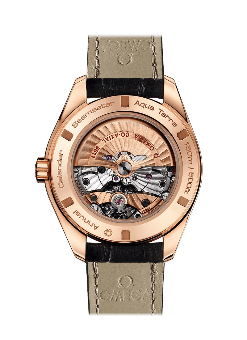 Back Omega Seamaster AQUA TERRA 150M CO‑AXIAL CHRONOMETER ANNUAL CALENDAR Ref# 231.53.43.22.06.001