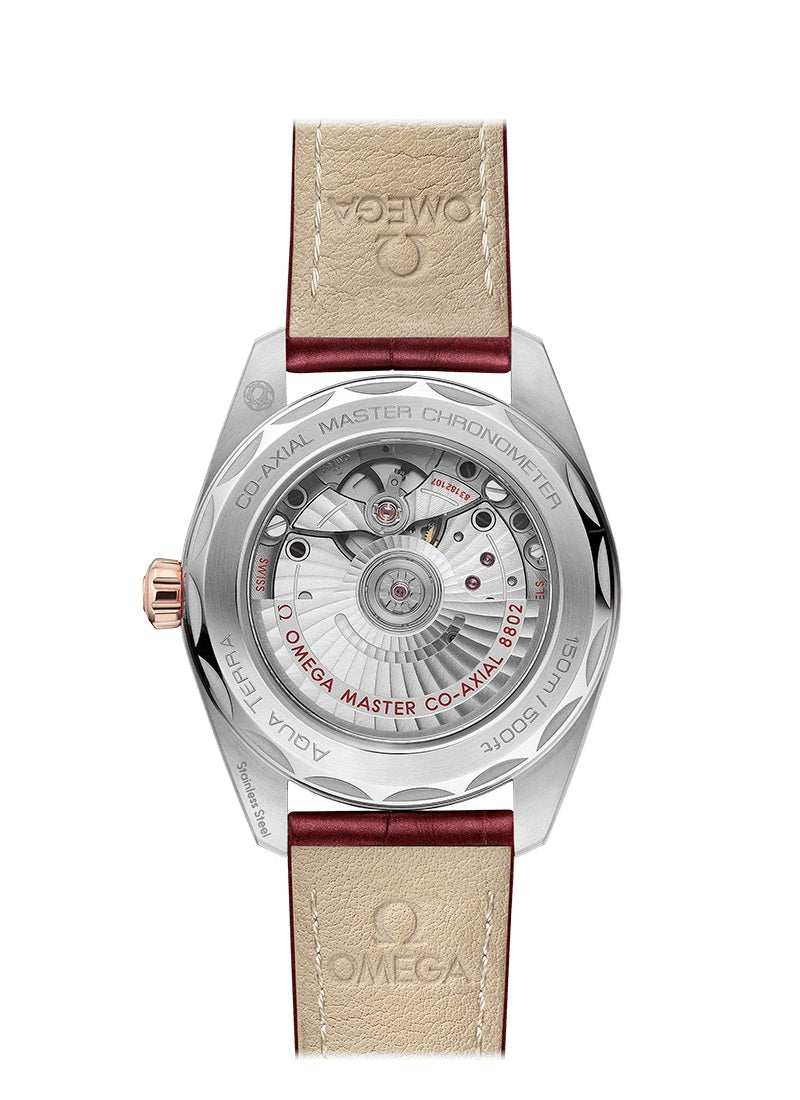 Back Omega Seamaster AQUA TERRA 150M CO‑AXIAL MASTER CHRONOMETER SMALL SECONDS Ref# 220.23.38.20.59.001
