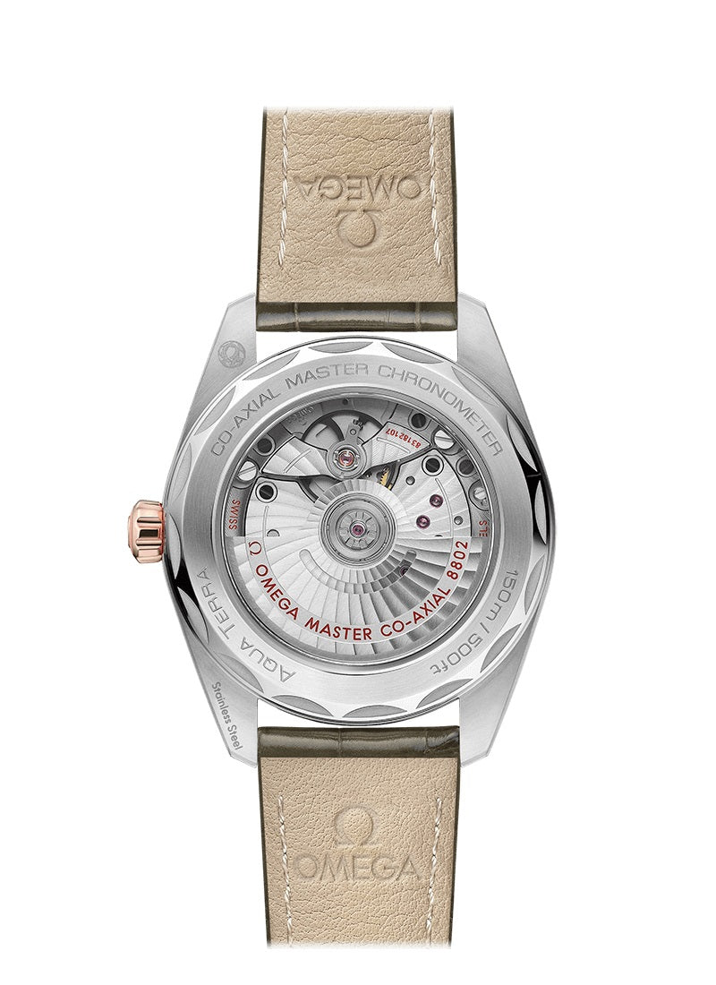 Back Omega Seamaster AQUA TERRA 150M CO‑AXIAL MASTER CHRONOMETER SMALL SECONDS Ref# 220.23.38.20.60.001