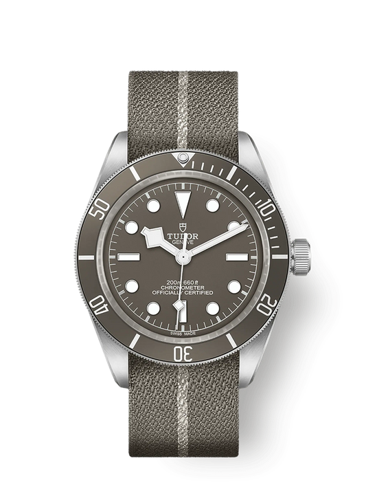 Tudor Black Bay Fifty-Eight 925, 39mm, 925 Silver, Ref# M79010SG-0002