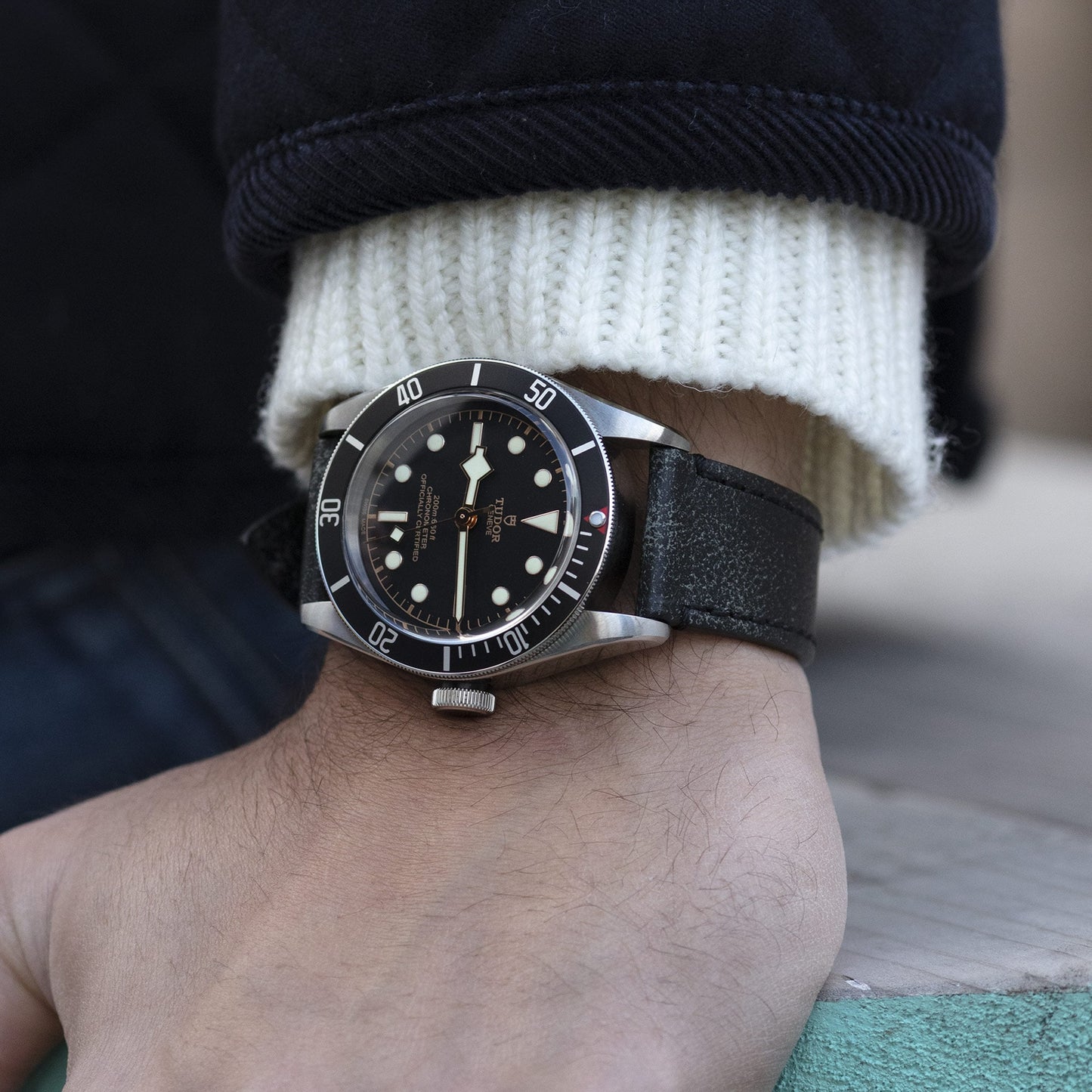 Tudor Black Bay, 41mm, Stainless Steel, Ref# M79230N-0008, Watch on hand