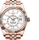 Unworn Rolex Sky-Dweller Ref# 336935-0007