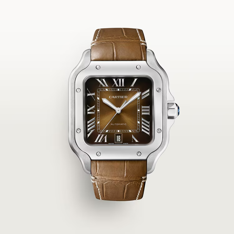 Unworn Cartier Santos de Cartier, Stainless Steel, 39.8mm, Ref# WSSA0064, watch with yhe strap
