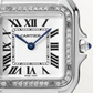 Unworn Cartier Panthère de Cartier, Stainless Steel, Diamonds, 29mm x 37mm, Ref# W4PN0018, Dial