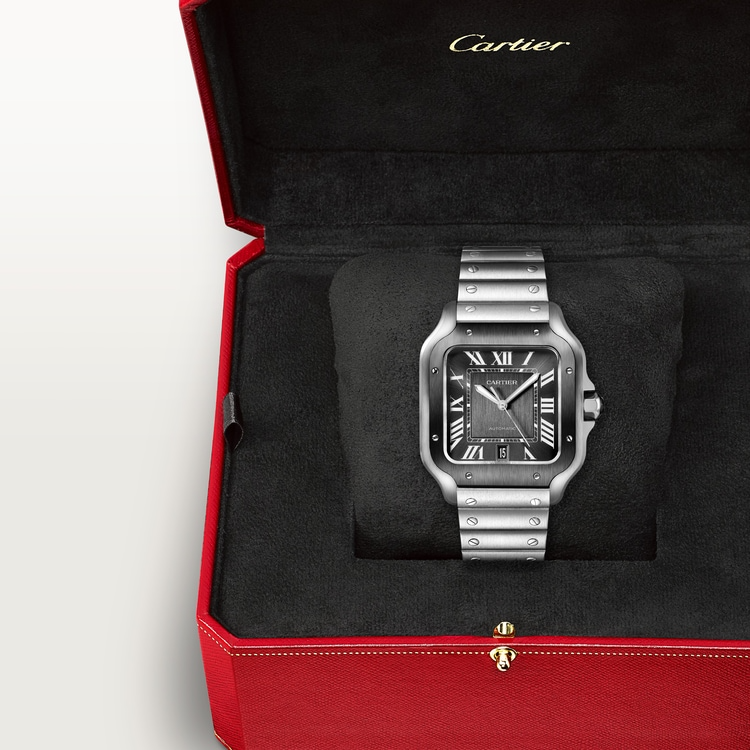 Unworn Cartier Santos de Cartier, Stainless Steel, 39.8mm, Ref# WSSA0037, Watch in box