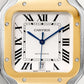 Unworn Cartier Santos de Cartier, Stainless Steel and 18k Yellow Gold, 39.8mm, Ref# W2SA0009, Dial