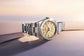 Unworn 2025, Rolex Oyster Perpetual, Oystersteel 36mm, Beige dial, Domed Oyster, Ref# 126000-0012, box and papers, Main view