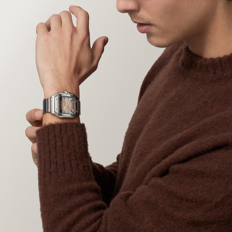 Unworn Cartier Santos de Cartier, Stainless Steel, 39.8mm, Ref# WSSA0064, Watch on hand