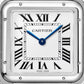 Cartier Panthère de Cartier Large, Stainless Steel, 31mm x 42mm, Ref# WSPN0016, Dial