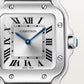 Cartier Santos de Cartier, Stainless Steel, 27mm x 34.5mm, Ref# WSSA0082, Dial