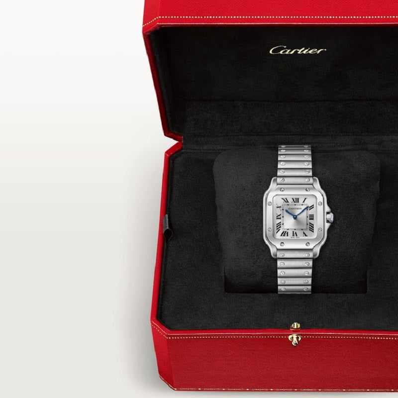 Cartier Santos de Cartier, Stainless Steel, 27mm x 34.5mm, Ref# WSSA0082, Watch in box
