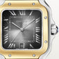 Cartier Santos de Cartier, Stainless Steel and 18k Yellow Gold, 39.8mm, Ref# W2SA0030, Dial