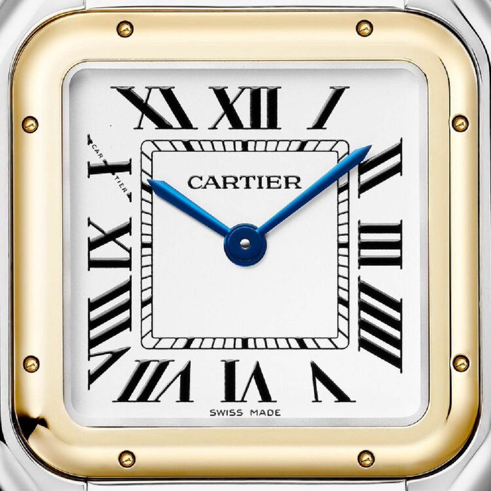 Cartier Panthère de Cartier Medium, Stainless Steel and 18k Yellow Gold, 29mm x 37mm, Ref# W2PN0019, Dial