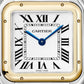 Cartier Panthère de Cartier Medium, Stainless Steel and 18k Yellow Gold, 29mm x 37mm, Ref# W2PN0019, Dial