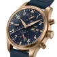 Unworn IWC Pilot's Watch Chronograph 41, Bronze, 41mm, Ref# IW388109, Dial