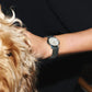 Breitling Lady Premier 32, Stainless Steel, Ref# A77330121A2A1, Watch on hand