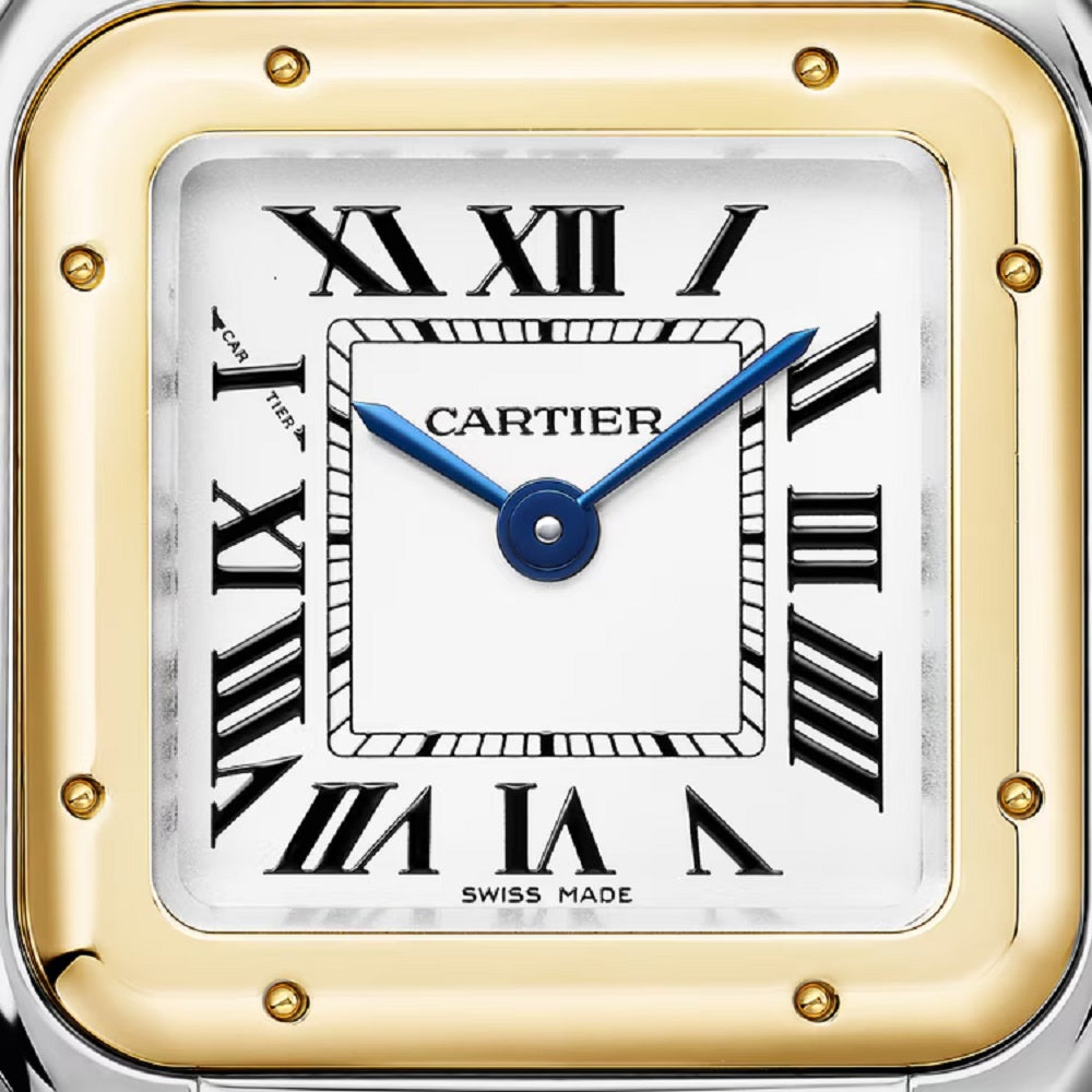 Cartier Panthère de Cartier Small, Stainless Steel and 18k Yellow Gold, 23mm x 30mm, Ref# W2PN0018, Dial