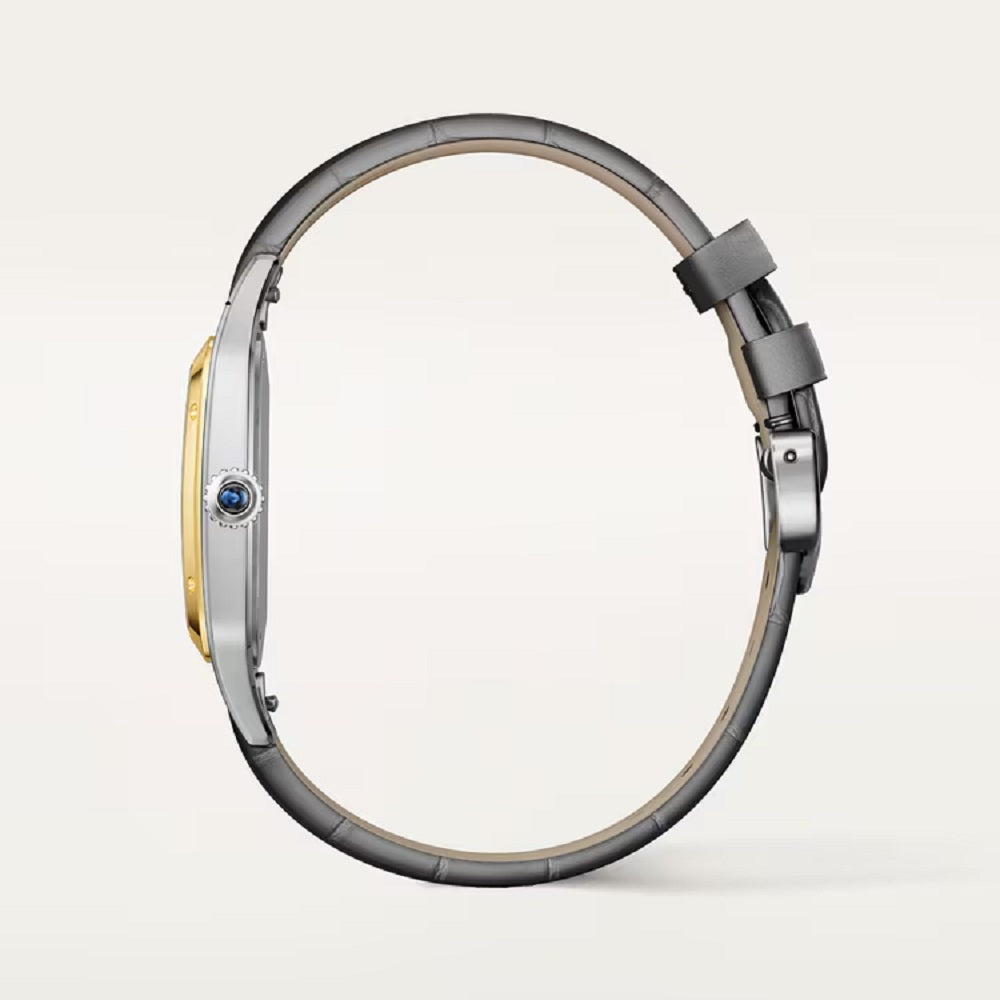 Cartier Santos-Dumont de Cartier, Stainless Steel and 18k Yellow Gold, 43.5mm x 31.4mm, Ref# W2SA0046, Side
