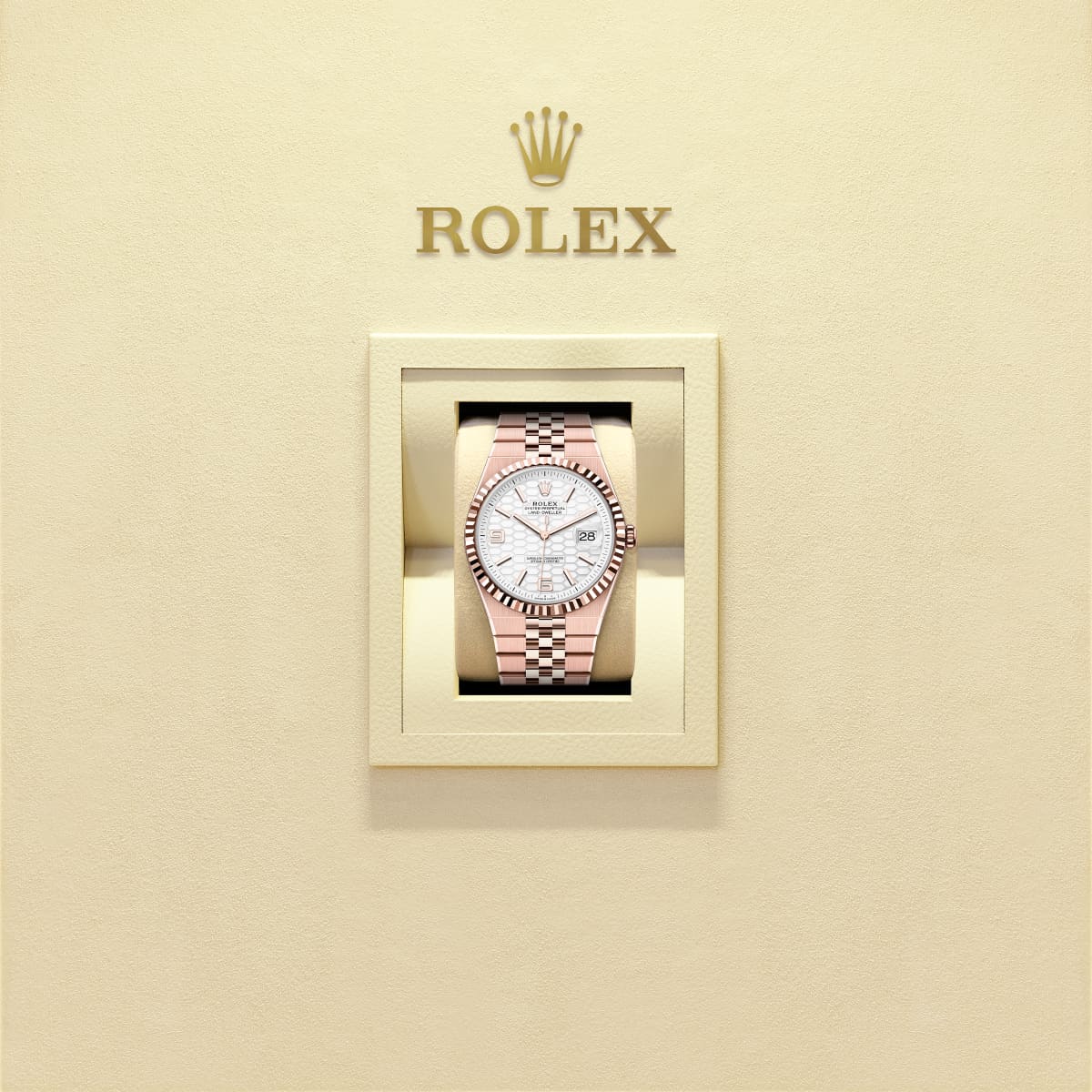Unworn 2025, Rolex Land-Dweller 36, 18k Everose Gold, Intense white dial, Fluted Flat Jubilee, Ref# 127235-0001, Watch in box