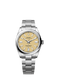 Unworn 2025, Rolex Oyster Perpetual, Oystersteel 41mm, Beige dial, Domed Oyster, Ref# 134300-0007, box and papers