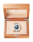 Watch in box