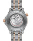 Omega Seamaster Diver 300M Ref# 210.60.42.20.99.001, box and papers