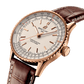 Breitling Navitimer Automatic 41, Small-scale traceable 18k Red Gold, Ref# R17329F41G1P1, Unworn 2024, Dial