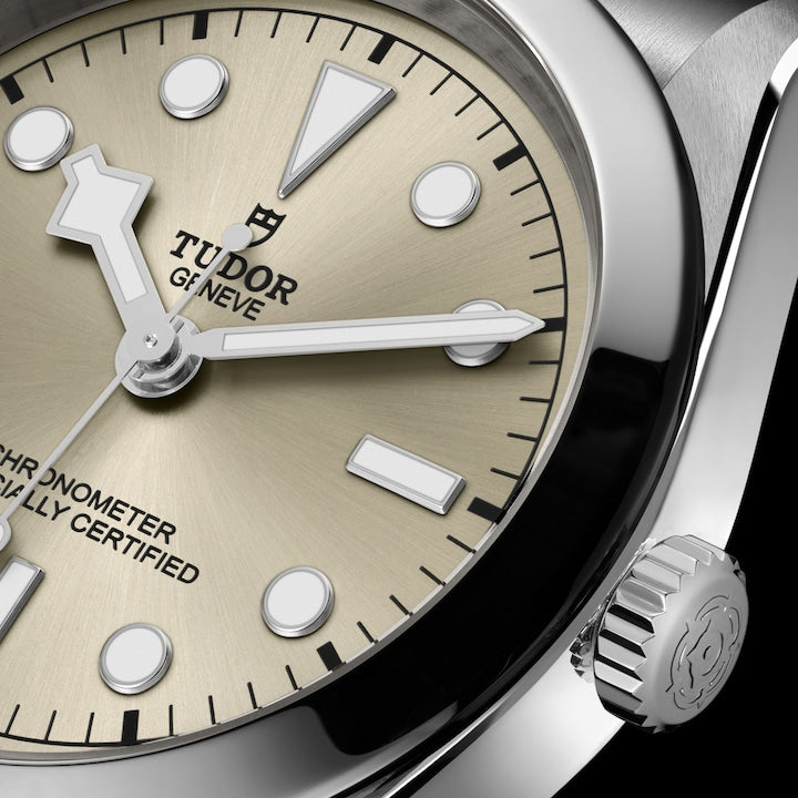 Tudor Black Bay 41, Stainless Steel, 41mm, Ref# M79680-0003, Dial