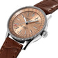 Dial Breitling Navitimer Automatic 35 Stainless Steel Ref# A17395201K1P1