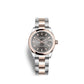 Rolex Datejust 31, Oystersteel and Everose gold, Ref# 278241-0017