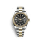 Rolex Sky-Dweller 42mm, Oystersteel and 18k Yellow Gold, Ref# 326933-0002