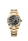 Rolex Sky-Dweller, 42mm, 18k Yellow Gold, Ref# 336938-0002