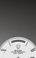 Dial Rolex Day-Date 40 Platinum Ref# 228206-0028