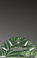 Dial Rolex Datejust 36 Oystersteel and white gold Ref# 126234-0047