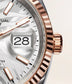 Dial Rolex Datejust 36 Oystersteel and Everose gold Ref# 126231-0031