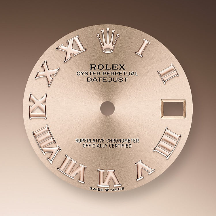 Rolex Datejust 31, Oystersteel and Everose gold, Ref# M278241-0005, Dial