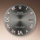 Rolex Datejust 36, 18k Everose Gold and Stainless Steel, 36mm, Ref# 126231-0023, Dial