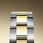 Rolex Sky-Dweller, 42mm, Oystersteel and 18k Yellow Gold, Ref# 336933-0005m Bracelet