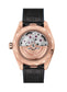 Back Omega Seamaster AQUA TERRA 150M CO‑AXIAL MASTER CHRONOMETER GMT WORLDTIMER Ref# 220.53.43.22.02.001
