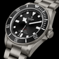 Tudor Pelagos 39, Grade 2 Titanium, 39mm, Ref# M25407N-0001, Dial