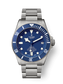 Tudor Pelagos, Titanium, 42mm, Ref# M25600TB-0001