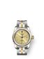 Tudor Glamour Date, Stainless Steel and 18k Yellow Gold, 26mm, Ref# M51003-0004