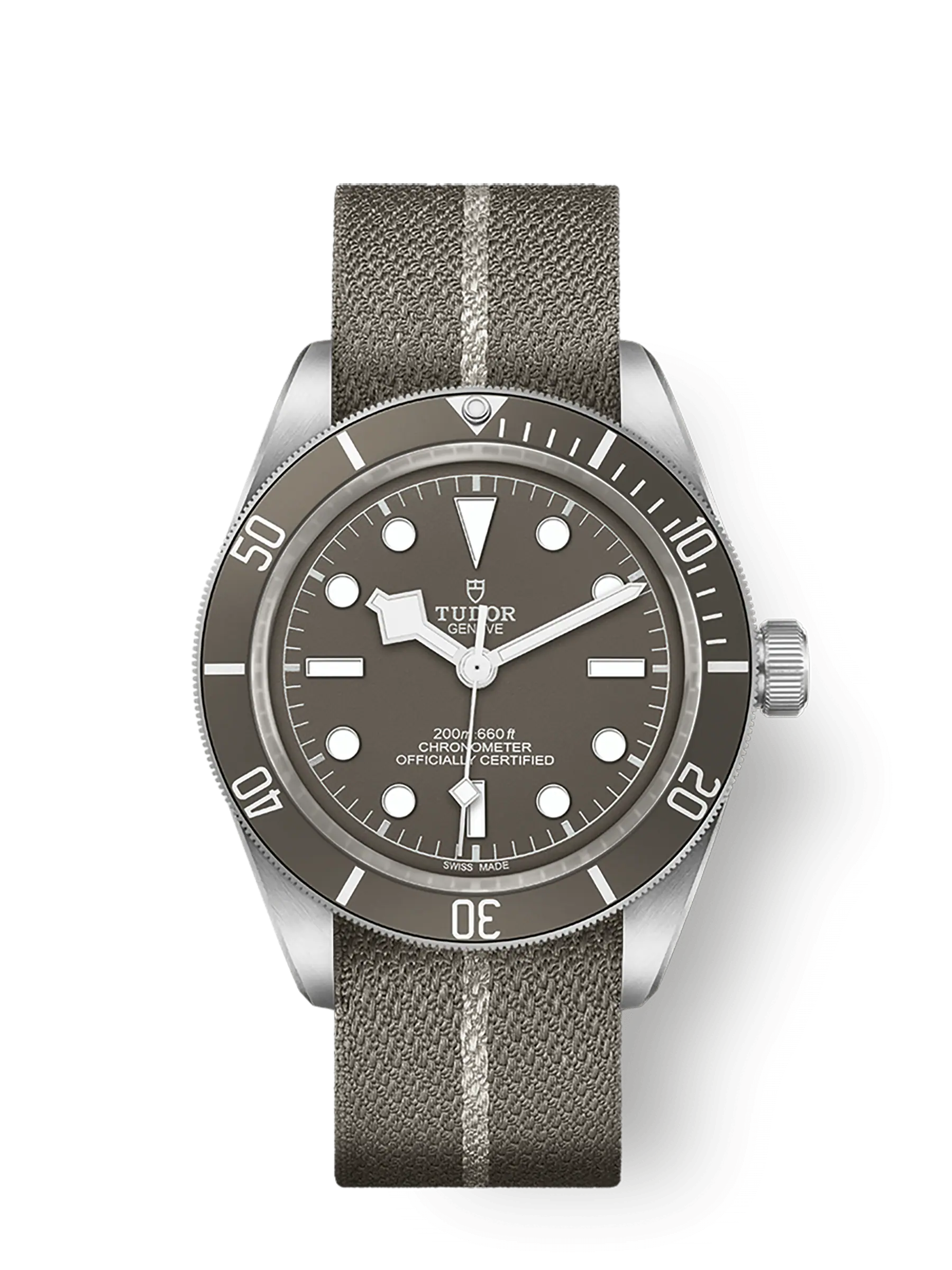 Tudor Black Bay Fifty-Eight 925, 39mm, 925 Silver, Ref# M79010SG  