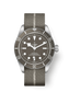 Tudor Black Bay Fifty-Eight 925, 39mm, 925 Silver, Ref# M79010SG-0002